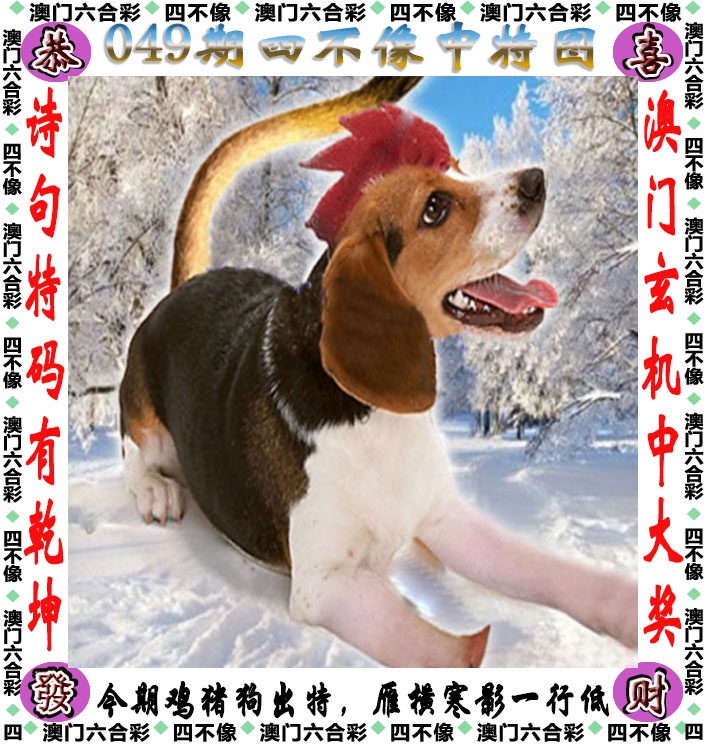 049期四不像[图]