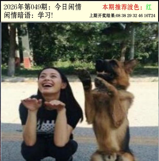 049期今日闲情2[图]