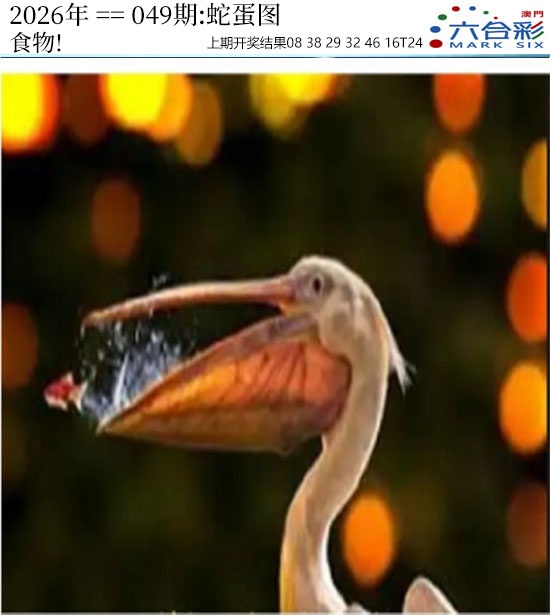 049期正版蛇蛋图[图]