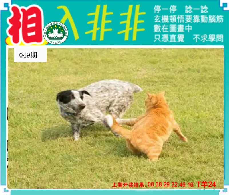 049期相入非非[图]