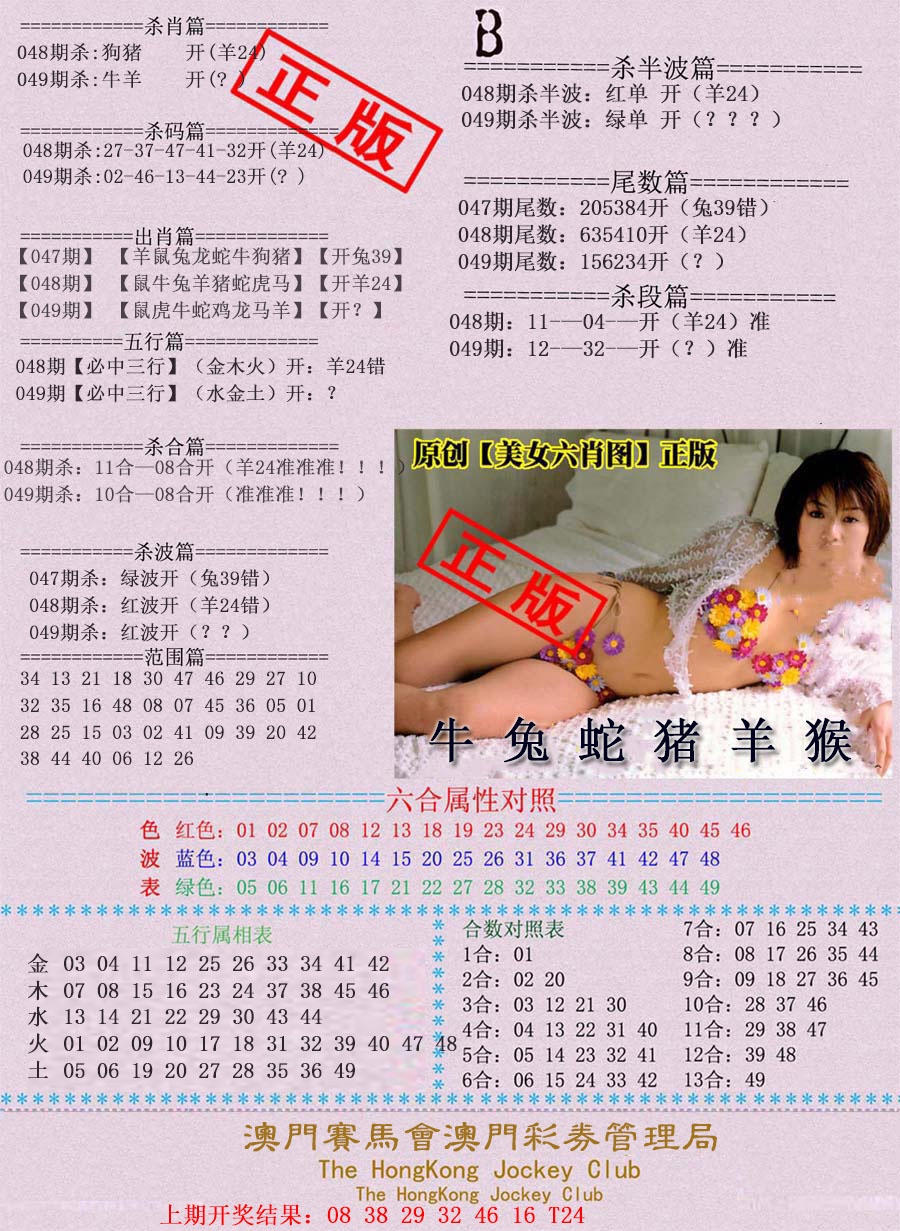 049期通缉令-2[图]