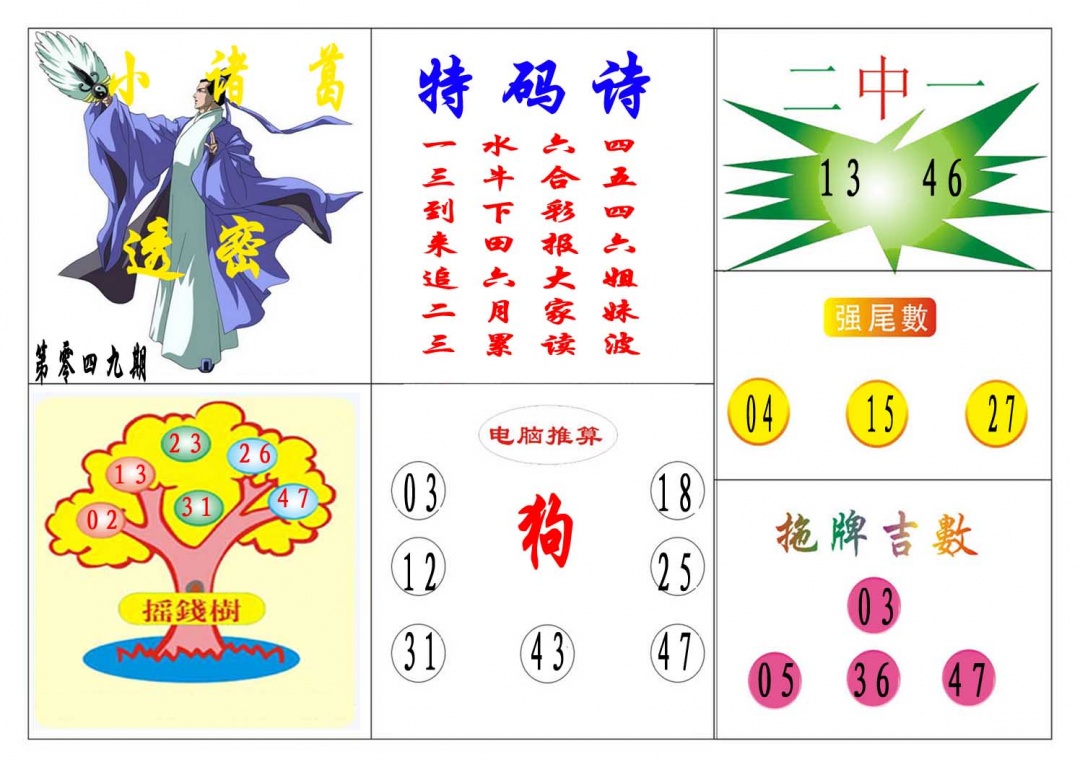 049期小诸葛[图]