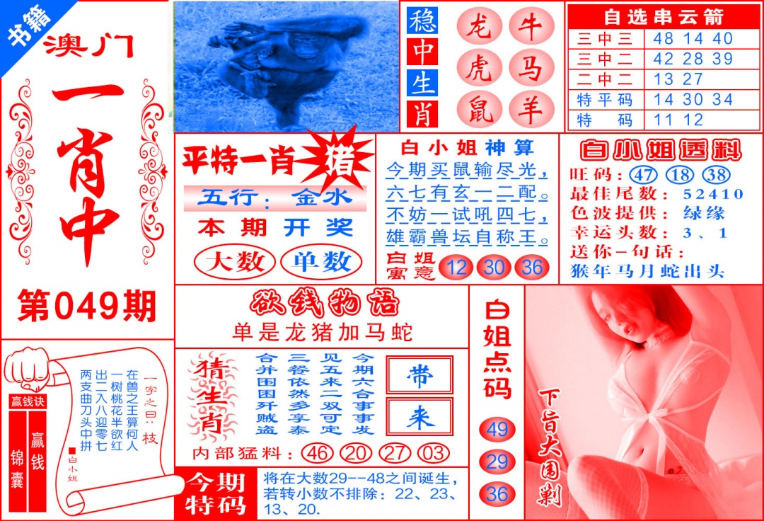 049期澳门锦囊宝典[图]