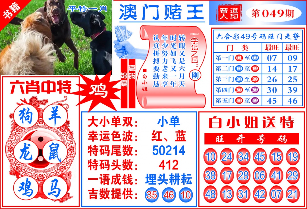 049期澳门赌王天书[图]