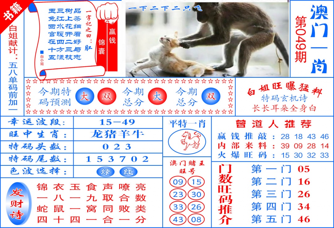 049期澳门东北虎[图]