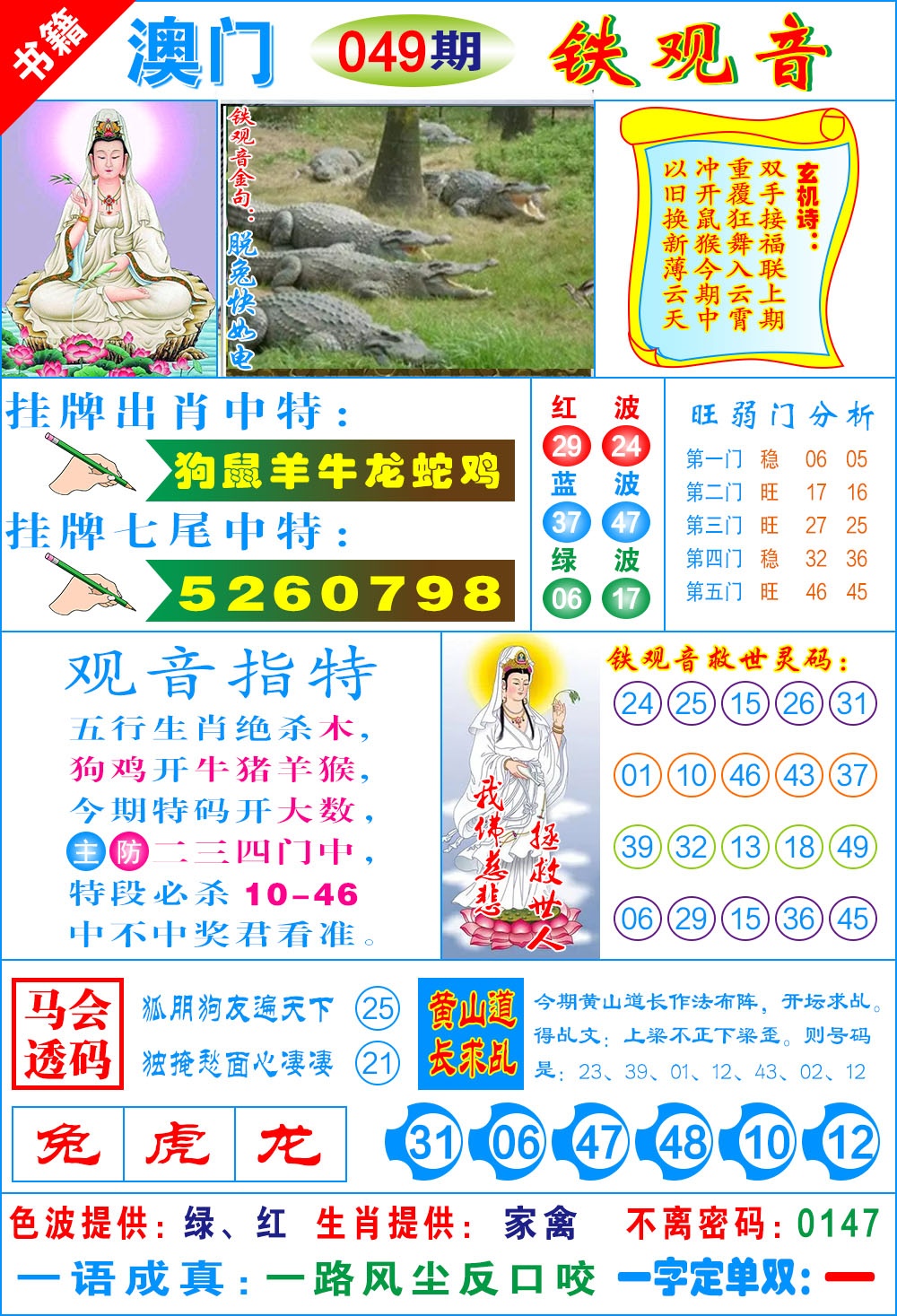 049期澳门铁观音[图]