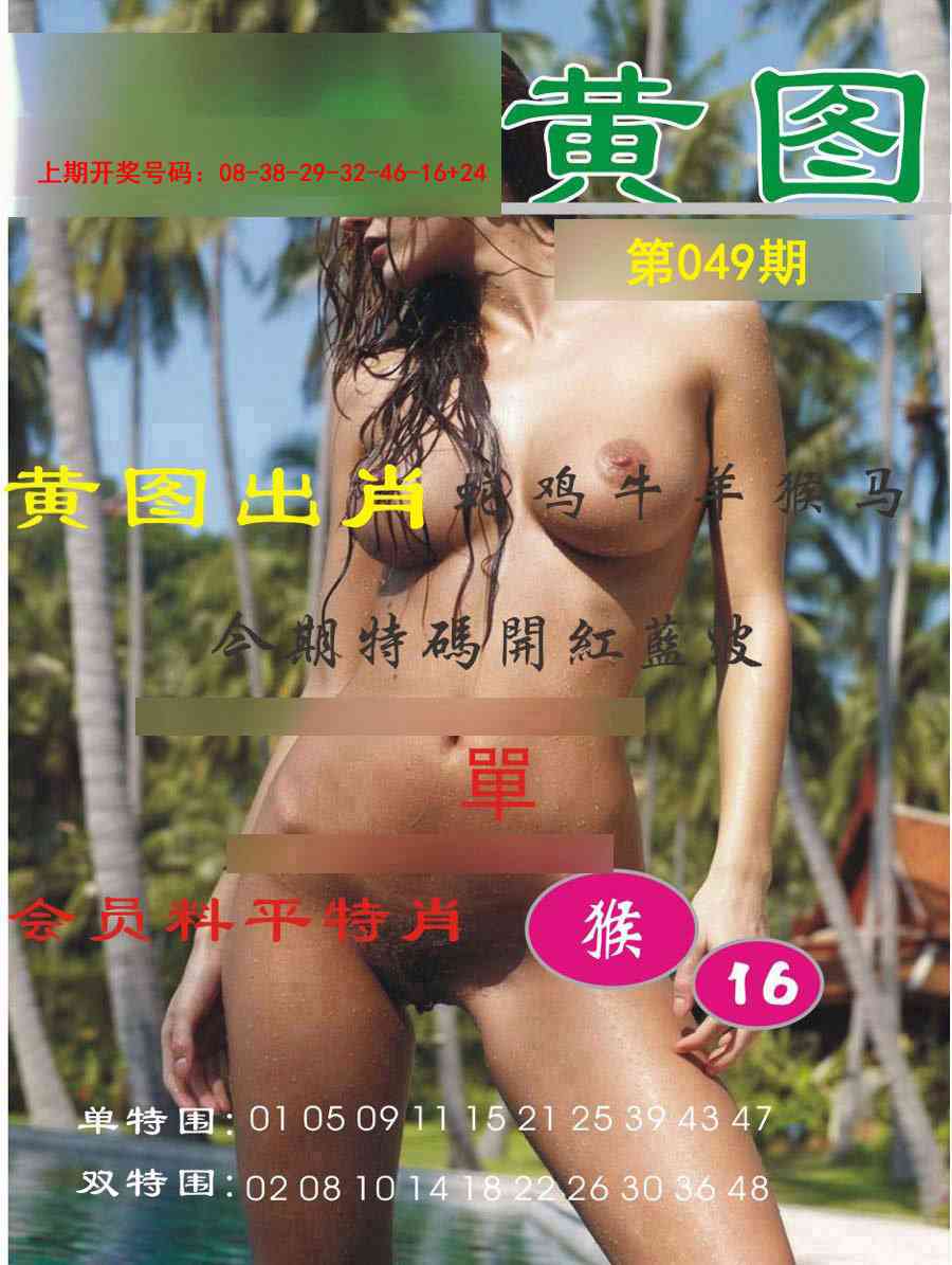 049期黄图[图]
