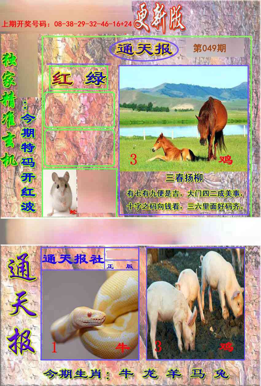 049期新通报[图]