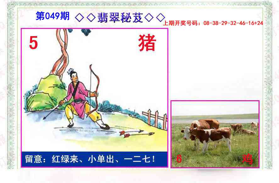 049期翡翠报[图]