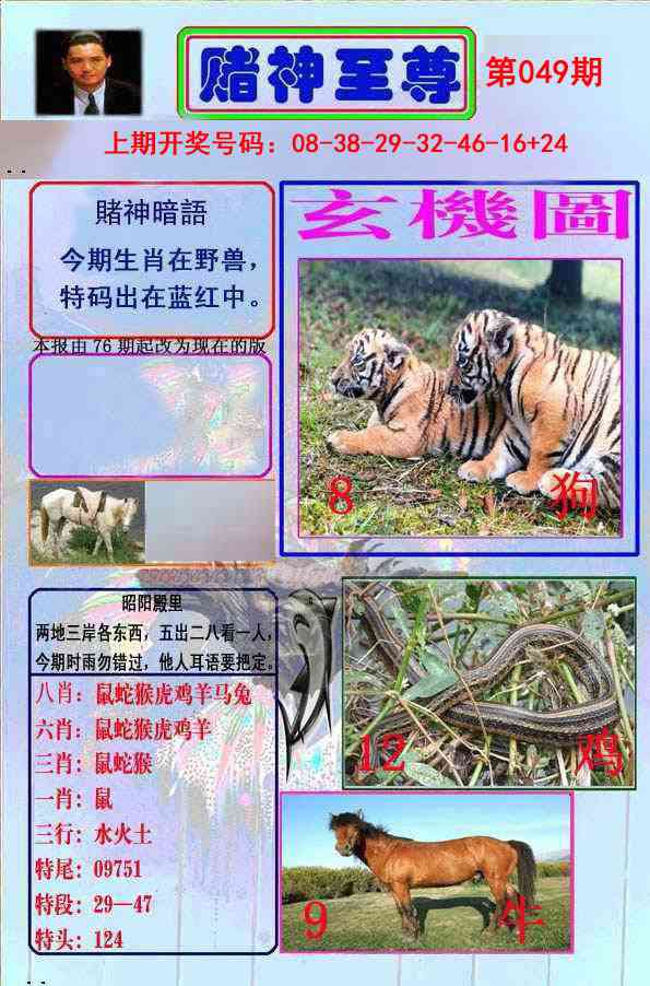 049期赌神至尊[图]