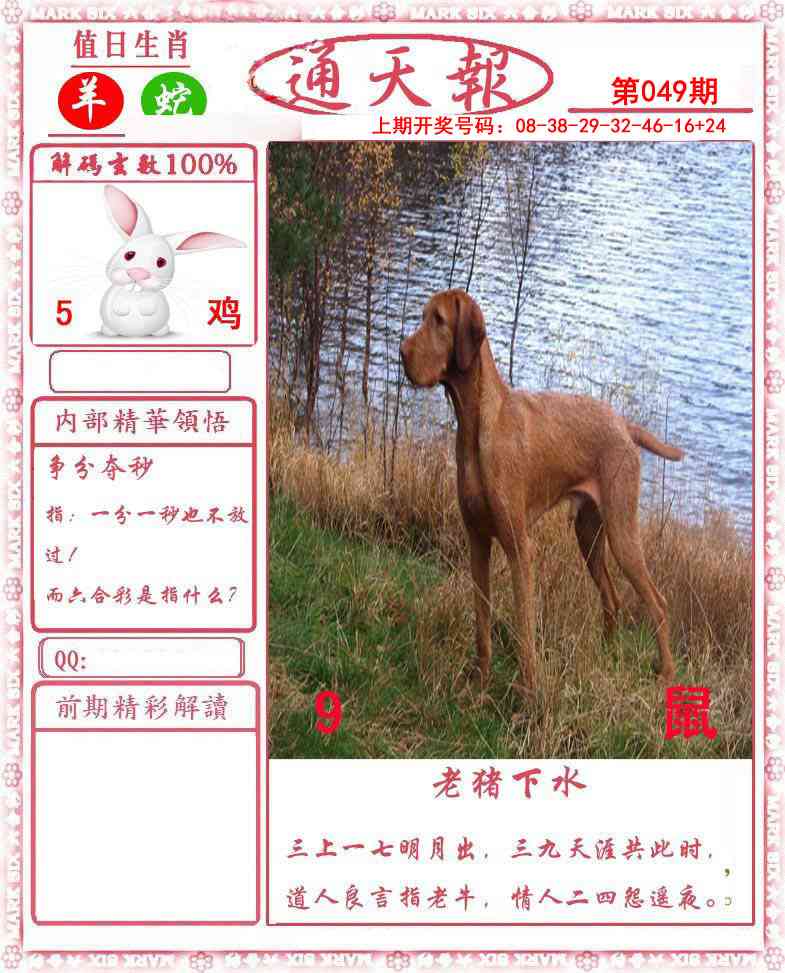 049期正版通天报[图]