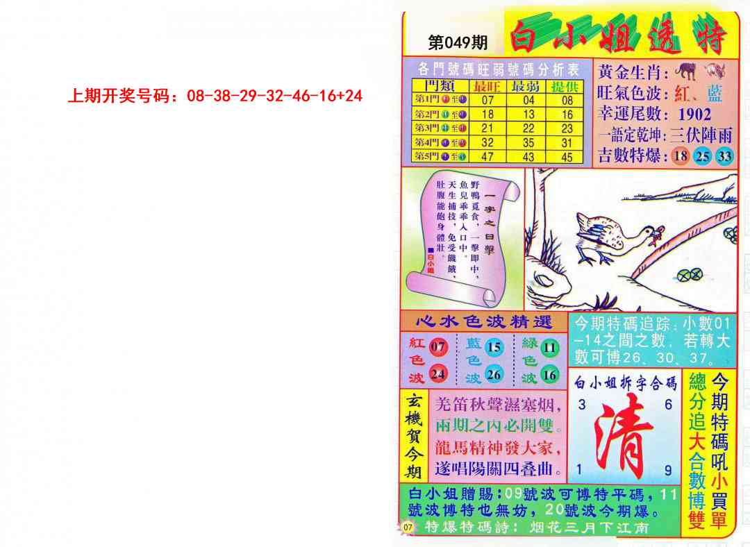 049期白小姐透特[图]