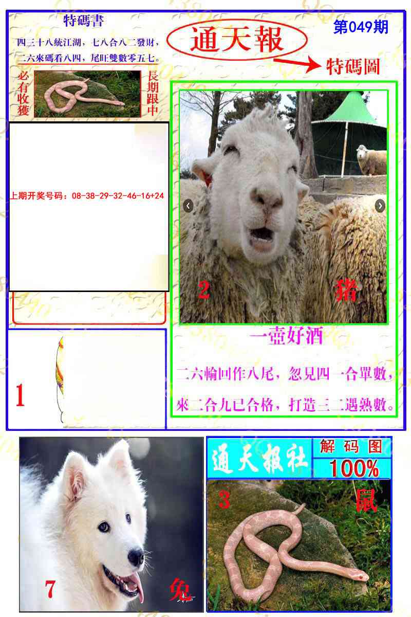049期通天特解图[图]