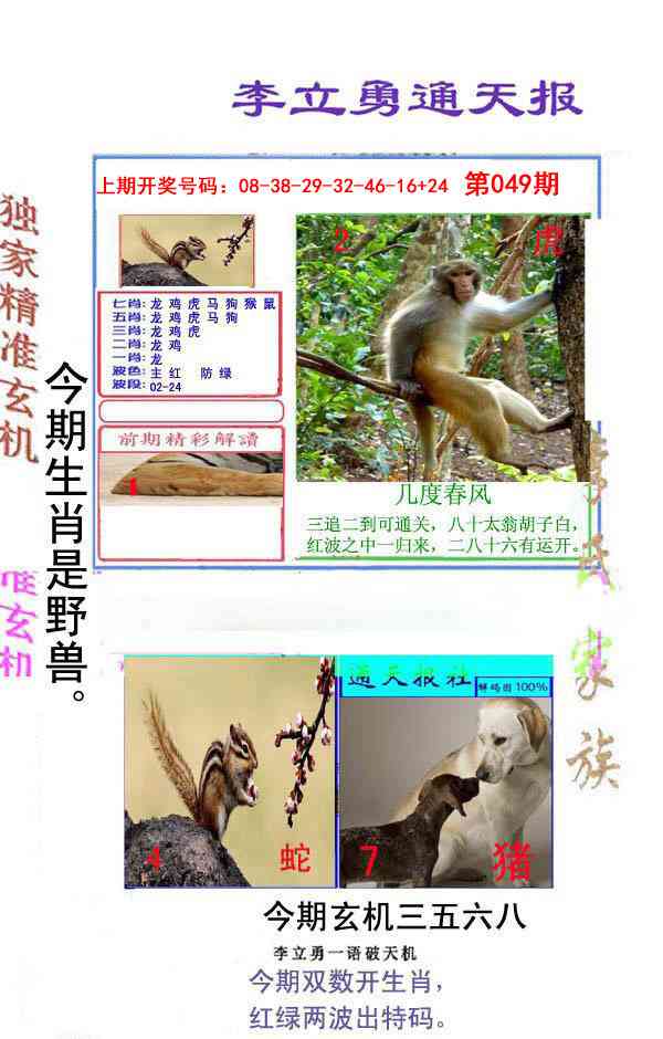 049期李立勇通天报[图]