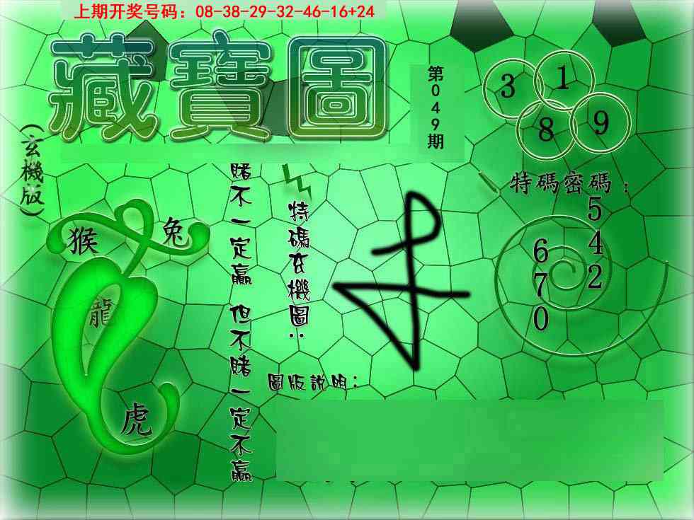 049期九龍玄机报[图]