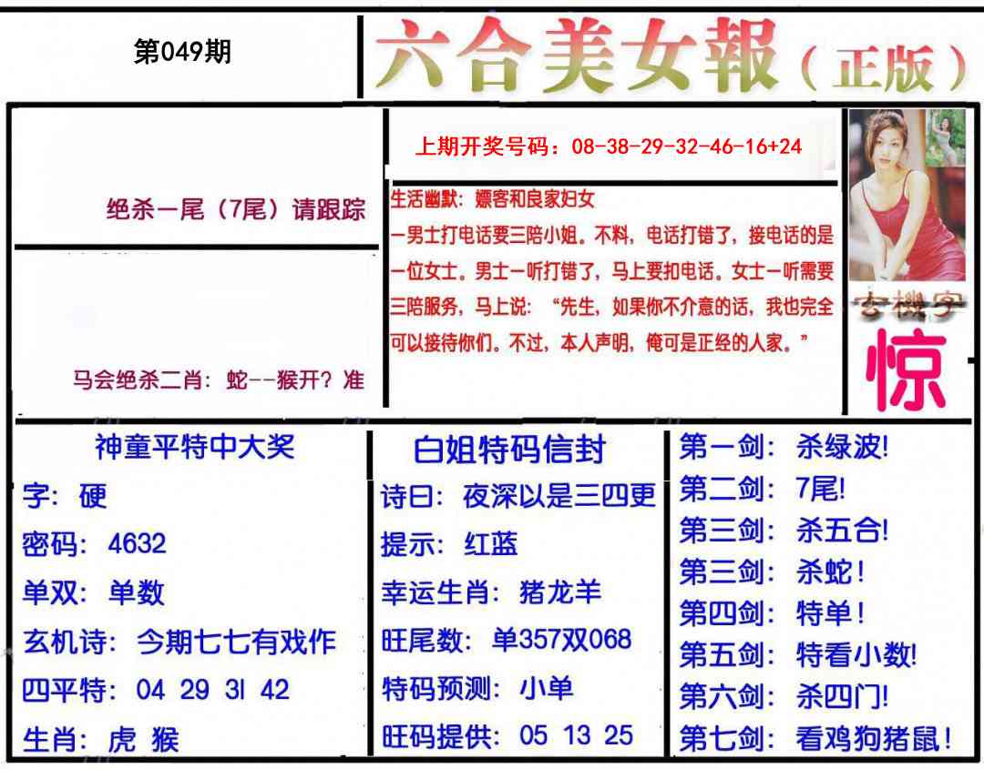 049期美女报[图]