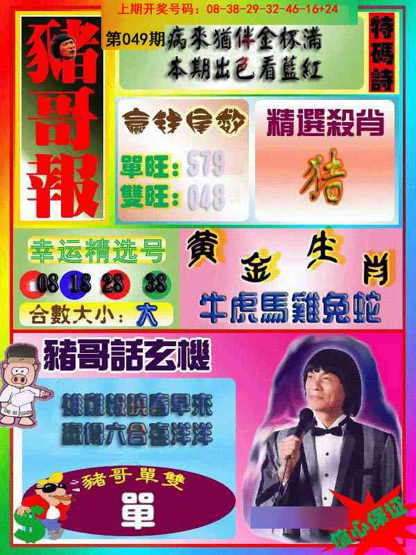 049期猪哥报[图]