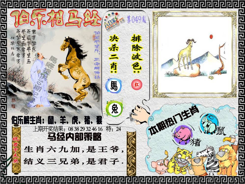 049期伯乐相马经[图]