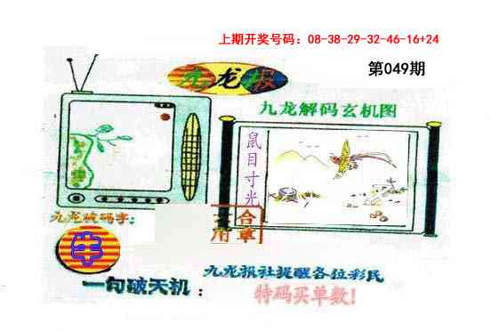 049期九龙报[图]