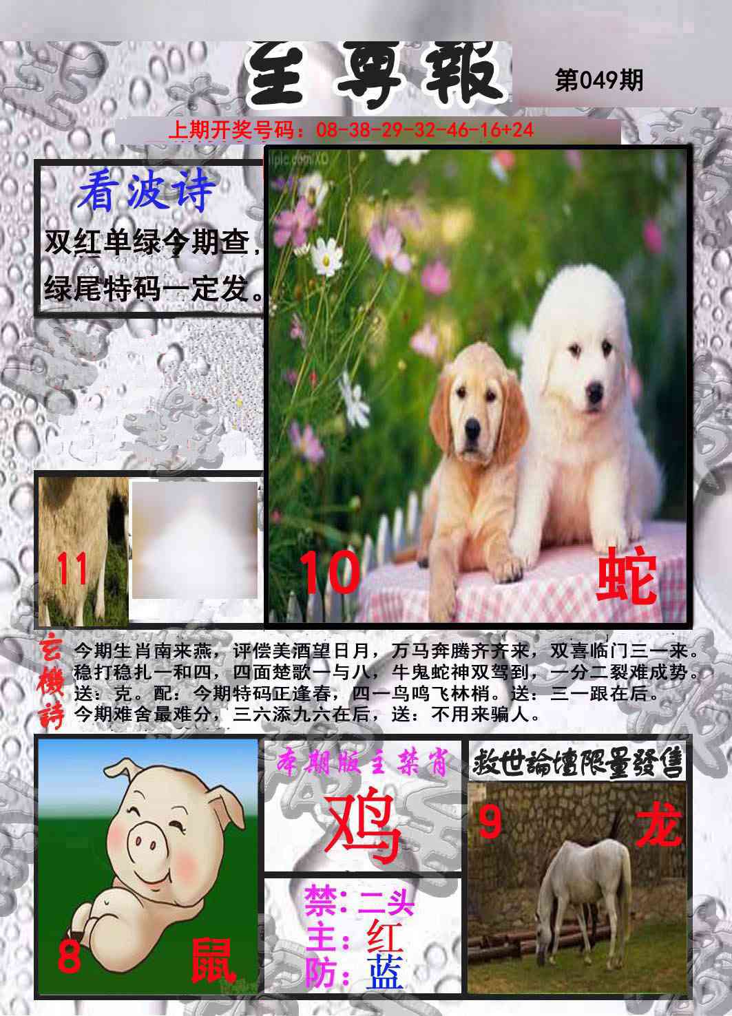 049期至尊报[图]