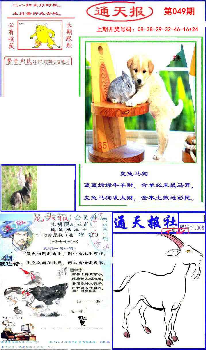 049期实力通天报[图]