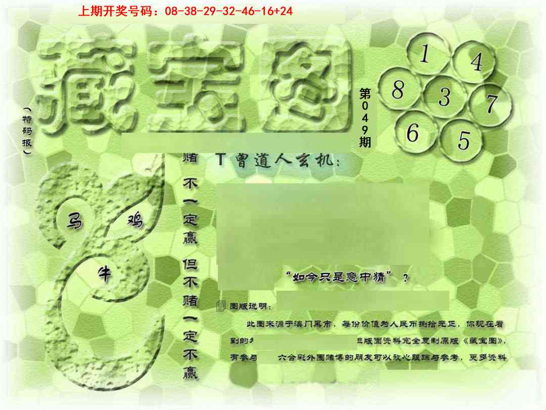 049期假新藏宝图[图]