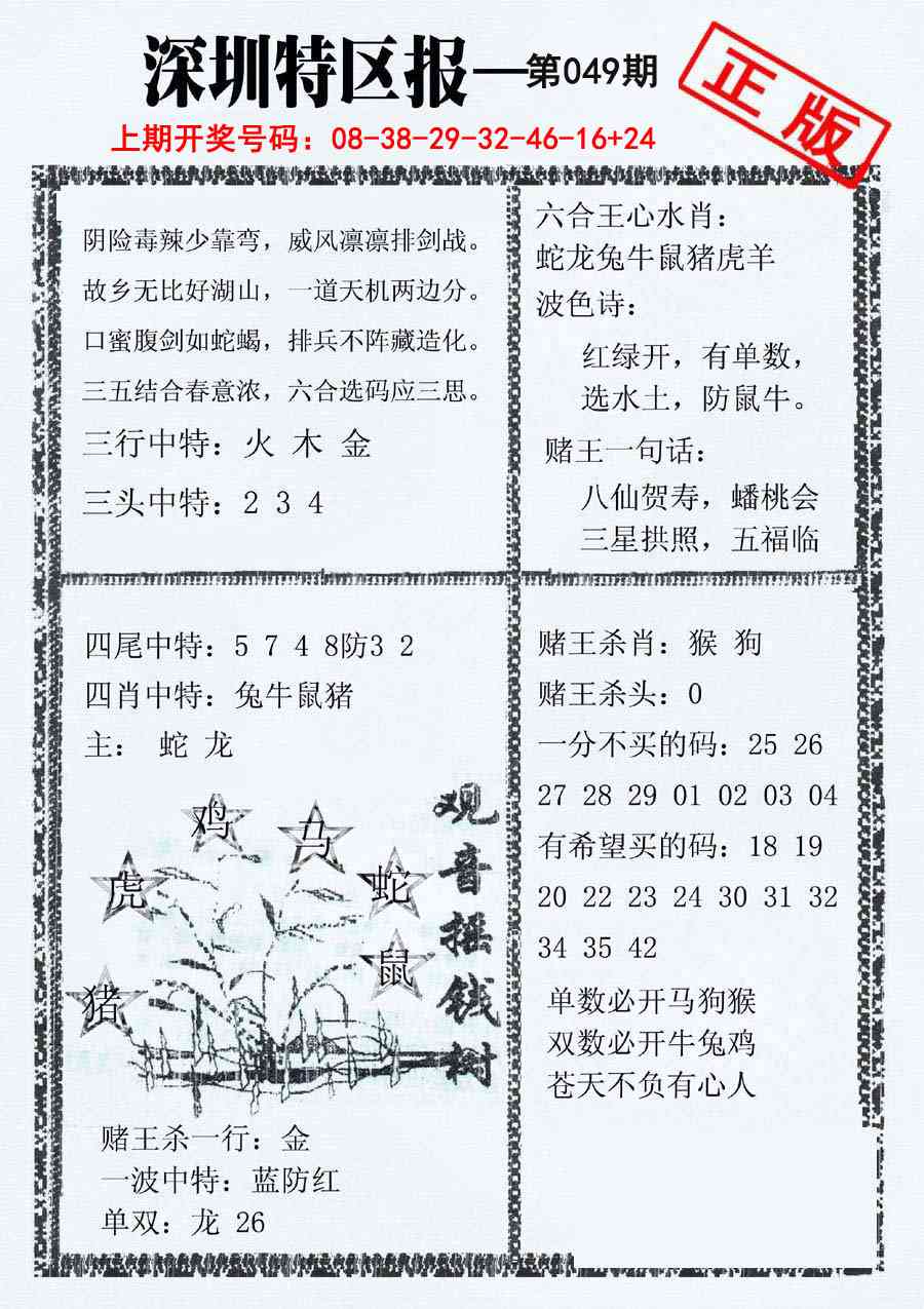 049期深圳特区报A[图]