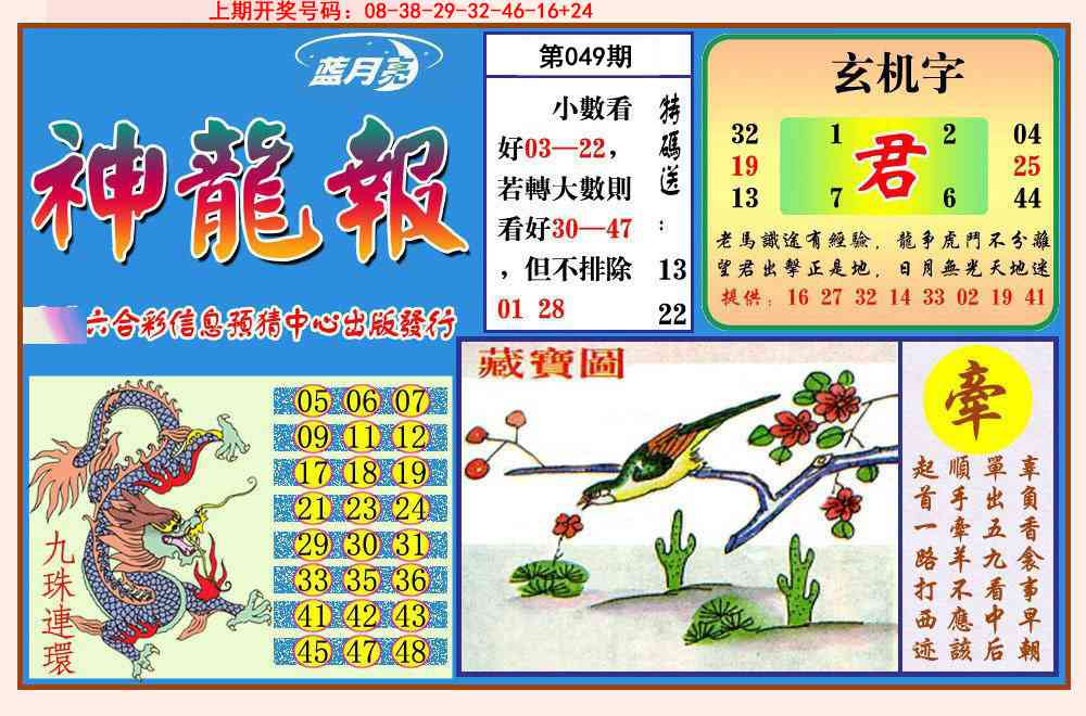 049期神龙报[图]
