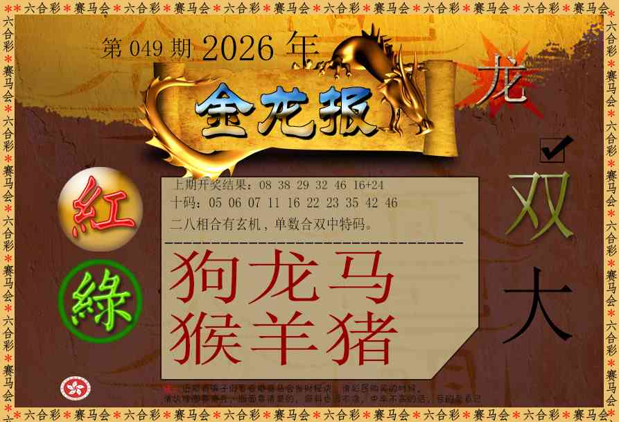 049期金龙报[图]