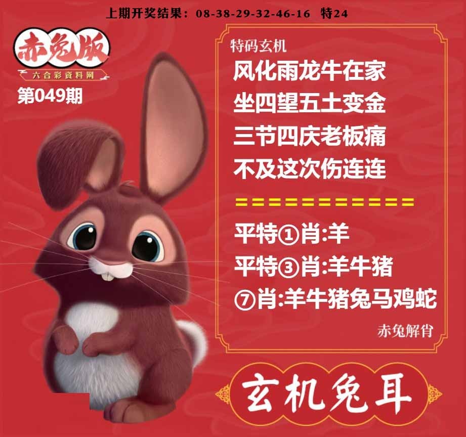 049期玄机兔耳[图]