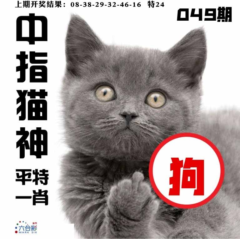 049期中指猫神[图]