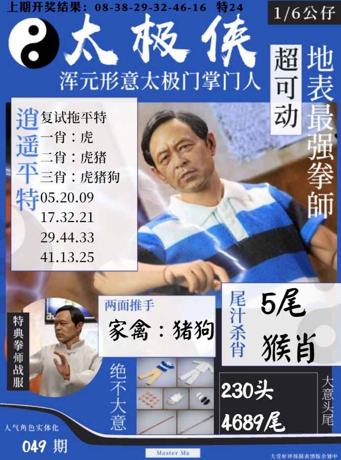 049期太极侠[图]